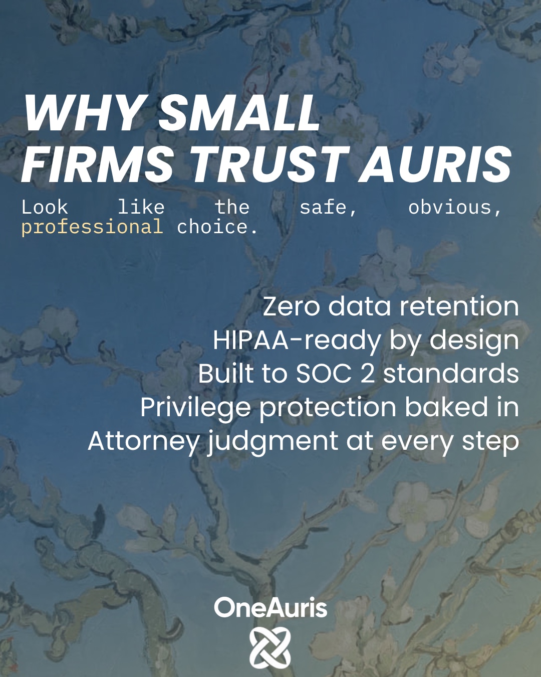 Trust / Why small firms trust Auris.