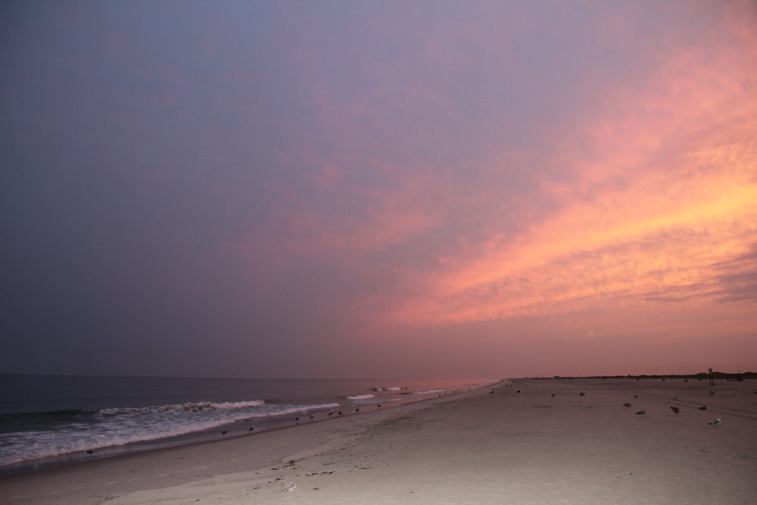 Pink sunset over the ocean and a quiet sandy beach